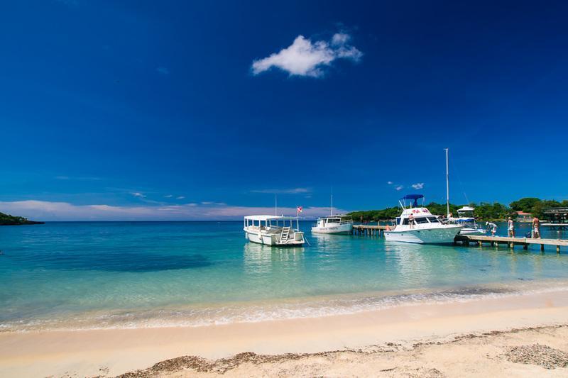 Coral Vista #5 Villa West End Rum bild